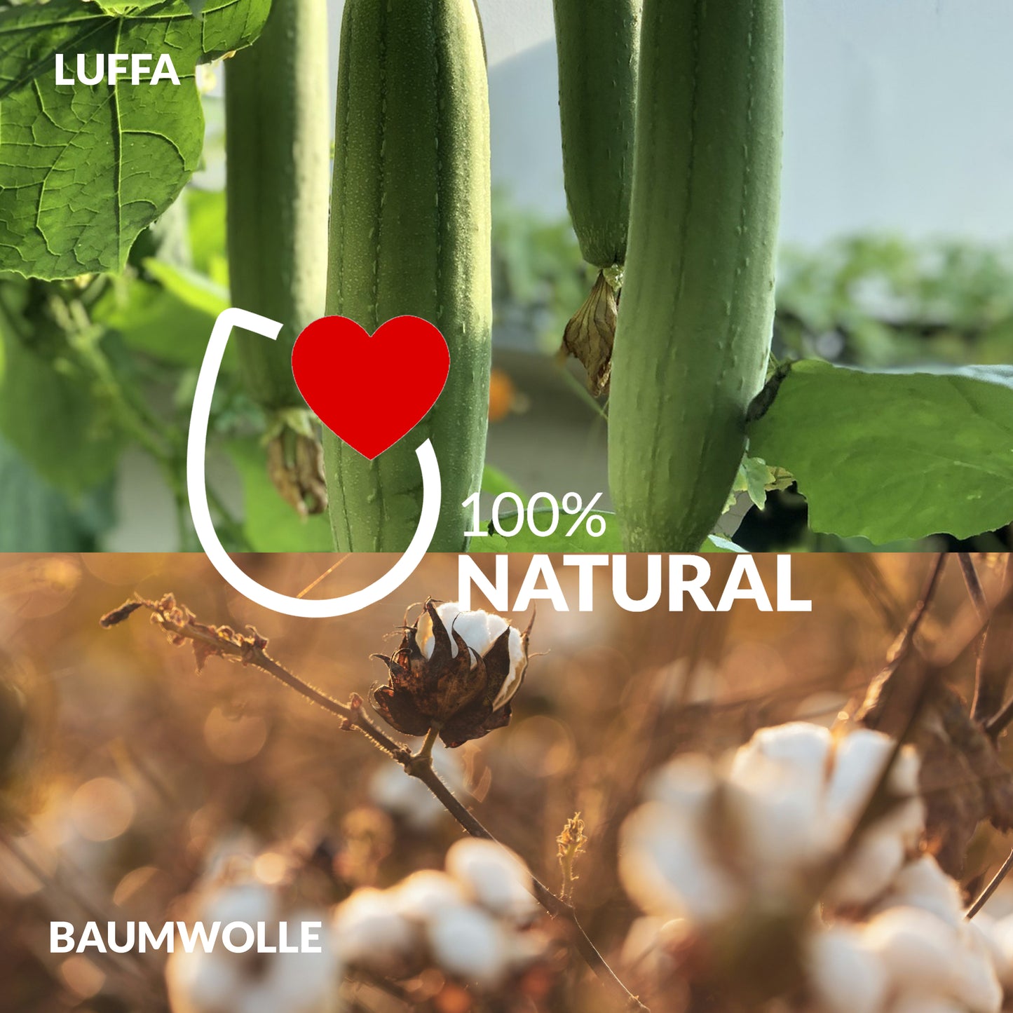 Bild mit Luffa-Gurken und Baumwollpflanzen, darunter Text: 100 % natural – natürliche Inhaltsstoffe für nachhaltige Körperpflegeprodukte von riffi